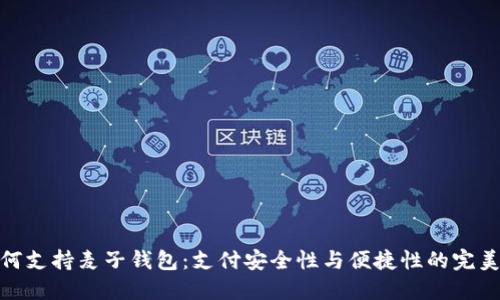 TP如何支持麦子钱包：支付安全性与便捷性的完美结合