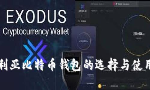 尼日利亚比特币钱包的选择与使用指南