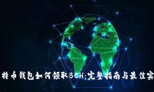 比特币钱包如何领取BCH：完整指南与最佳实践
