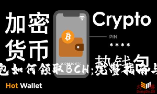 比特币钱包如何领取BCH：完整指南与最佳实践
