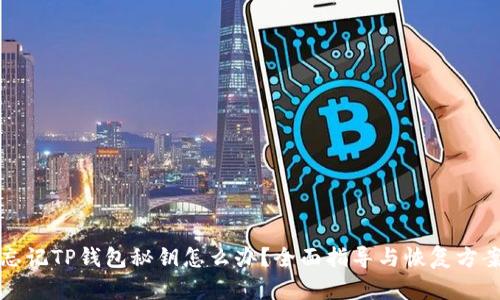 忘记TP钱包秘钥怎么办？全面指导与恢复方案