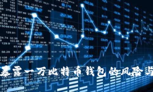 公共网络暴露一万比特币钱包的风险与防范措施