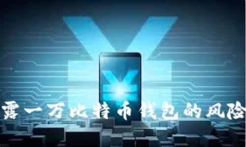 公共网络暴露一万比特币钱包的风险与防范措施
