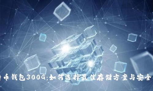 比特币钱包300G：如何选择最佳存储方案与安全策略