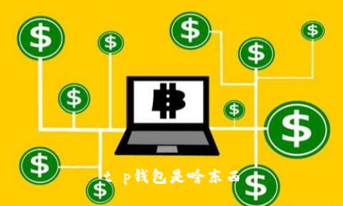 t p钱包是啥东西