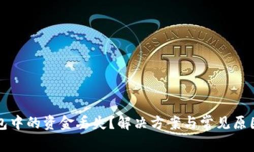 TP钱包中的资金丢失？解决方案与常见原因解析