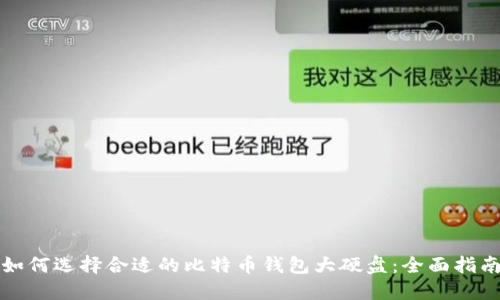 如何选择合适的比特币钱包大硬盘：全面指南