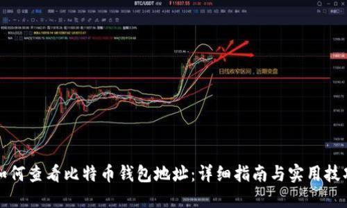 如何查看比特币钱包地址：详细指南与实用技巧