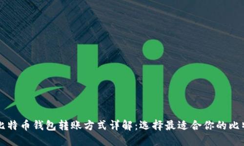 不同的比特币钱包转账方式详解：选择最适合你的比特币钱包