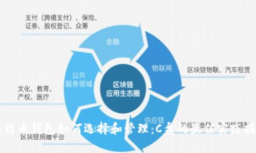 比特币钱包如何选择和管理：C盘的最佳实践指南