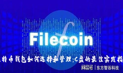 比特币钱包如何选择和管理：C盘的最佳实践指南