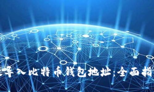 如何高效导入比特币钱包地址：全面指南与技巧