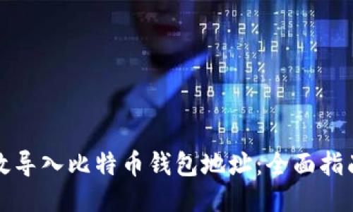 如何高效导入比特币钱包地址：全面指南与技巧