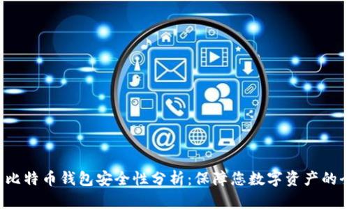 2012年比特币钱包安全性分析：保障您数字资产的全面指南