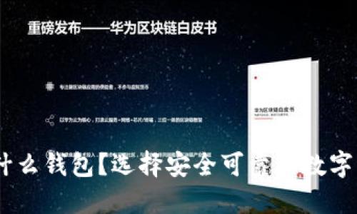 USDT一般放什么钱包？选择安全可靠的数字货币钱包指南