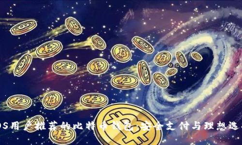 iOS用户推荐的比特币钱包：安全支付与理想选择