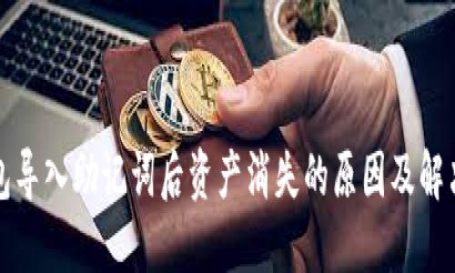 TP钱包导入助记词后资产消失的原因及解决方案