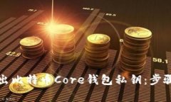 如何全面导出比特币Core钱