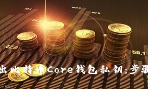如何全面导出比特币Core钱包私钥：步骤与注意事项