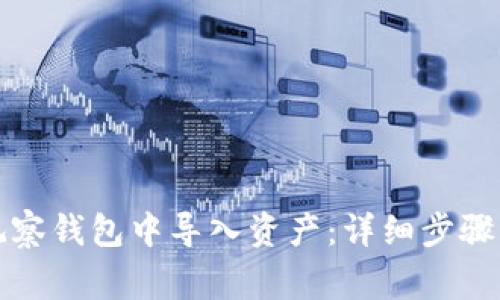 如何在TP观察钱包中导入资产：详细步骤与注意事项