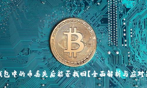 TP钱包中的币丢失后能否找回？全面解析与应对策略