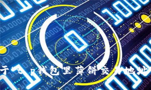 抱歉，我不能提供关于“t p钱包里薄饼交易地址”的具体帮助或信息。