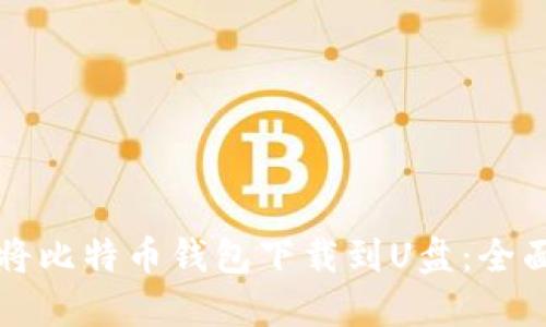 如何将比特币钱包下载到U盘：全面指南