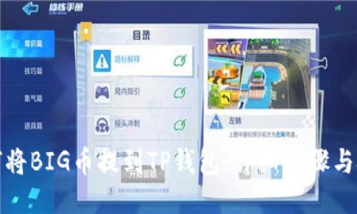 如何将BIG币提到TP钱包：详细步骤与技巧