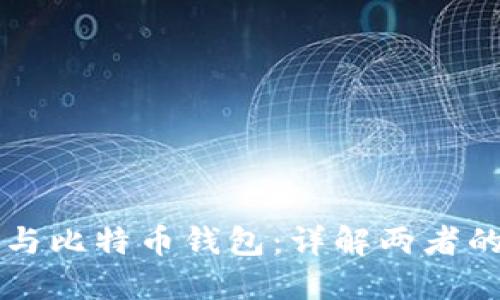 比特币账户与比特币钱包：详解两者的区别与联系