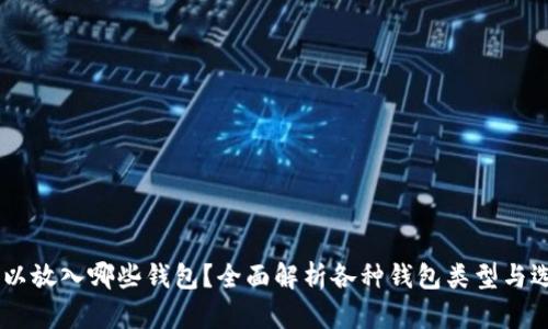 USDT可以放入哪些钱包？全面解析各种钱包类型与选择建议