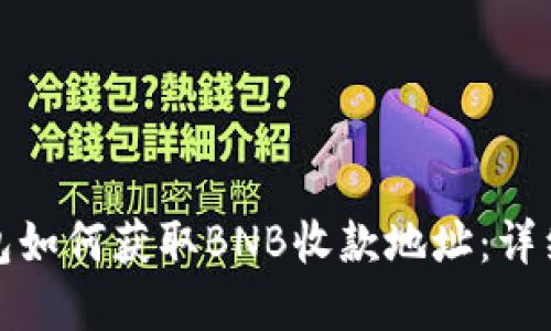 Tp钱包如何获取BNB收款地址：详细指南