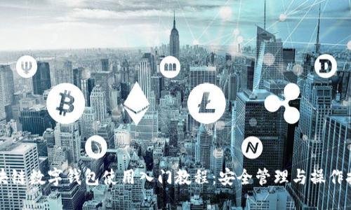 区块链数字钱包使用入门教程：安全管理与操作技巧