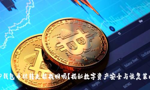 TP钱包币被转走能找回吗？揭秘数字资产安全与恢复策略