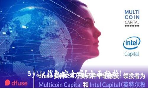 Bybit钱包安全吗？全面分析！