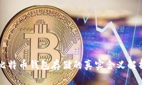 比特币钱包存储的真实含义解析