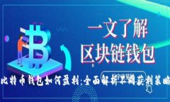 比特币钱包如何盈利：全