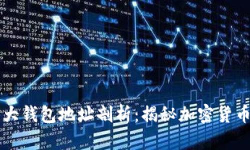 比特币前十大钱包地址剖析：揭秘加密货币的财富分布