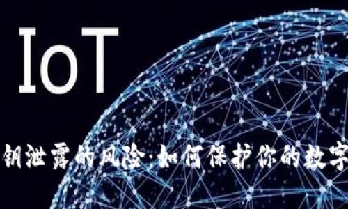TP钱包私钥泄露的风险：如何保护你的数字资产安全