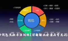 TP钱包里的币没到账？详解解决方案与常见问题