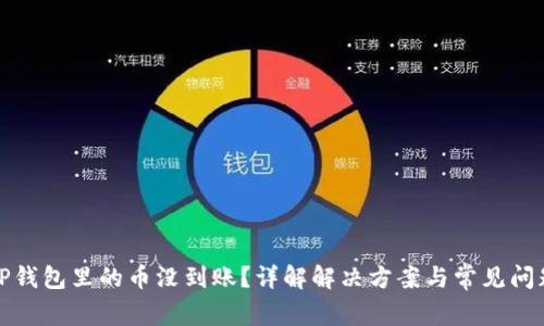 TP钱包里的币没到账？详解解决方案与常见问题