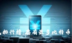 比特币钱包排行榜：存有