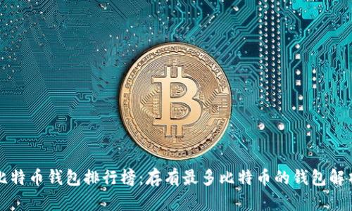 比特币钱包排行榜：存有最多比特币的钱包解析