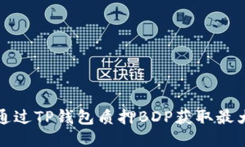 如何通过TP钱包质押BDP获取最大收益