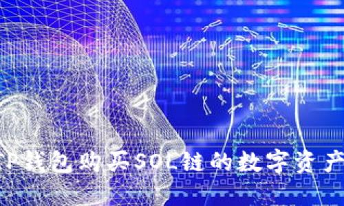 如何通过TP钱包购买SOL链的数字资产：详尽指南