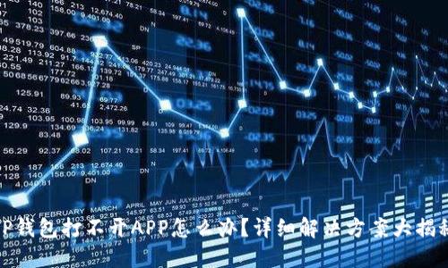 TP钱包打不开APP怎么办？详细解决方案大揭秘