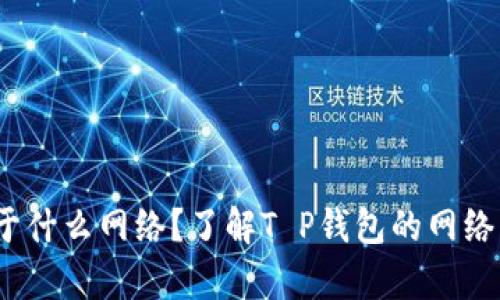 t p钱包属于什么网络？了解T P钱包的网络特性与优势