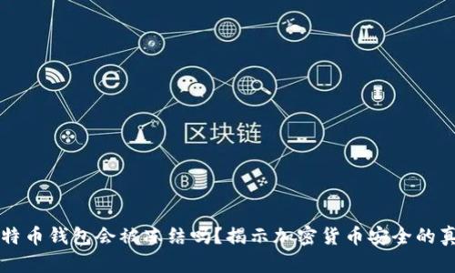 比特币钱包会被冻结吗？揭示加密货币安全的真相