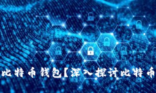大佬们到底选择什么比特币钱包？深入探讨比特币钱包的类型和安全性