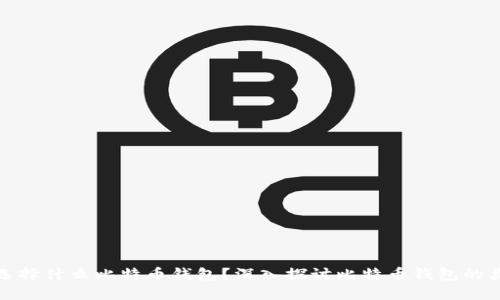 大佬们到底选择什么比特币钱包？深入探讨比特币钱包的类型和安全性