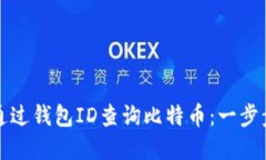 如何通过钱包ID查询比特币